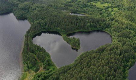 Три экопроекта Поморья получили гранты Президентского фонда природы 