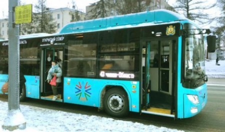 Архангельский перевозчик заплатит пассажирке 600 тысяч за ампутацию пальца при ДТП