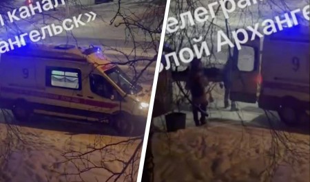 Мертвого мужчину нашли на автобусной остановке в центре Архангельска