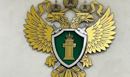 Прокуратура взыскала миллиардный штраф с вельского лесоруба