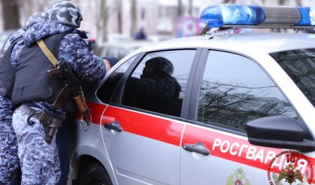 О результатах работы подразделений Росгвардии Поморья за неделю