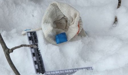 В Северодвинске задержана женщина на "Ладе" и с порошком