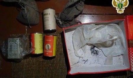 Житель Пинеги за хранение килограмма пороха получил условный срок и шраф