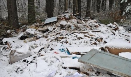 Форменное свинство в Новодвинске