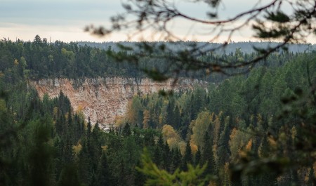 Молодых ученых Поморья приглашают на конкурс научных проектов Рослесхоза