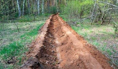 В текущем году в Поморье обустроят почти 6000 км противопожарных минерализованных полос