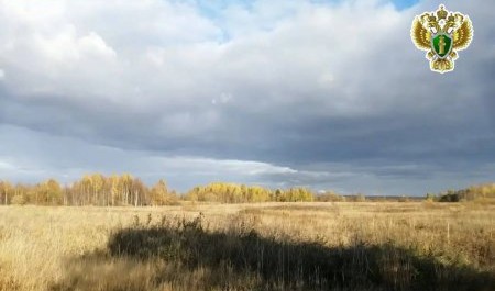 В Онеге у резидента Арктической зоны через суд отобрали землю