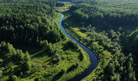 Архангельская область – в тройке лидеров по объемам лесоустройства в 2026 году Архангельская область – в тройке лидеров по объемам лесоустройства в 2026 году