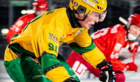 Архангельский «Водник» пробился в полуфинал чемпионата России по хоккею с мячом Архангельский «Водник» пробился в полуфинал чемпионата России по хоккею с мячом