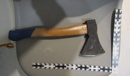 Архангелогородец ударил соседа топором по голове за замечание о шуме