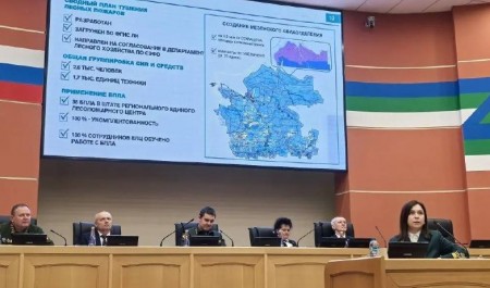 Анна Шевелева рассказала о работе по охране лесов в Поморье