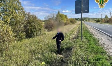 «Лечение» похищением: жительница Вилегодского района заказала бандитам похищение собственного сына