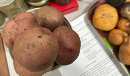 Обитатели Центрального рынка в Архангельске готовы на улицах защищать свои права