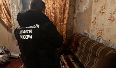 «Показалось, что хотят украсть имущество»: архангелогородец забил монтировкой двух собутыльников