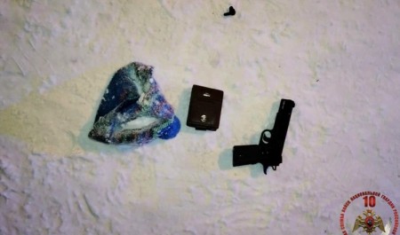 В Няндоме наряд Росгвардии задержал неадеквата, угрожавшего пневматическим оружием посетителям кальянной