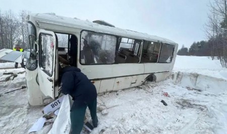 Рядом с Архангельском произошло ДТП с автобусом: пострадало два человека Рядом с Архангельском произошло ДТП с автобусом: пострадало два человека