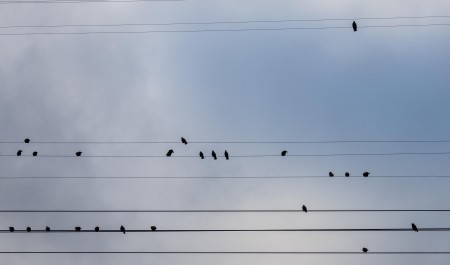 Сидят без электричества второй день: почему жители Архангельска остались без света