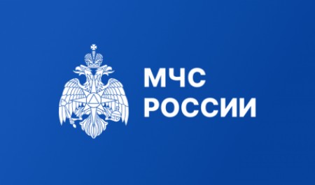 Спецборт МЧС России доставил 117 граждан РФ из Азербайджана в Москву