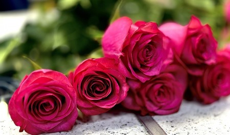 Поздравления с 8 Марта — 2026: самые искренние пожелания для любимых женщин Поздравления с 8 Марта — 2026: самые искренние пожелания для любимых женщин