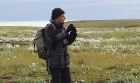 Бабочки: жизнь, метаморфозы и необычные пристрастия