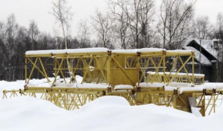 Лотосу — быть: в Архангельске приступают к реализации «жилищно-цветочного» проекта