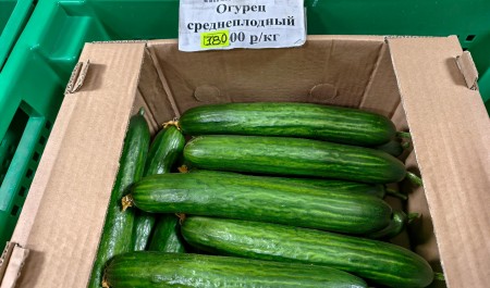 Огурцы наконец подешевели: сколько они теперь стоят