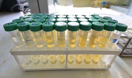 «Возвращаемся во времена Лысенко». Зачем Россия прячет генетические данные от иностранцев и к чему это приведет