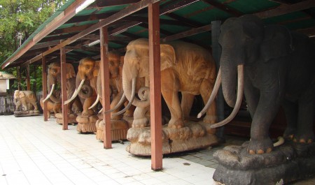 На россиянина в Таиланде донесли соседи. Теперь он может потерять 3 миллиона и сесть в тюрьму на 15 лет