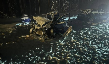 Двое северян погибли при столкновении машин на трассе М-8 в Архангельской области