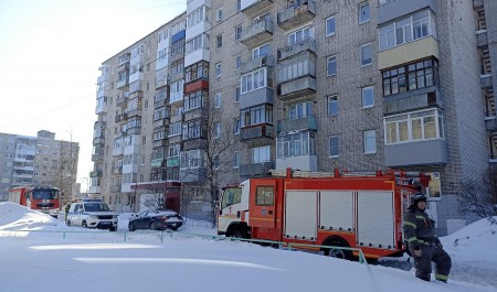 Пожарные спасли 11 человек во время пожара в девятиэтажке Архангельска