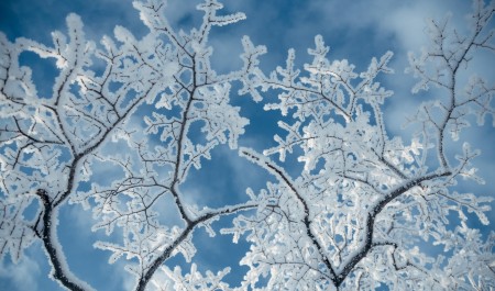 Когда в Архангельской области потеплеет: прогноз синоптиков 