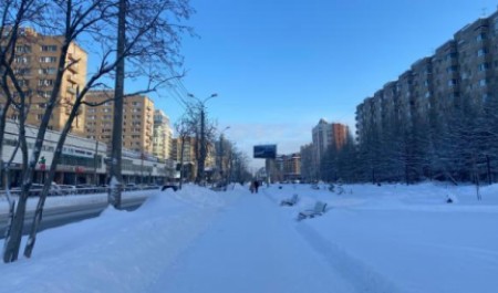 После арктических морозов — к нулю: в Архангельскую область идет оттепель После арктических морозов — к нулю: в Архангельскую область идет оттепель