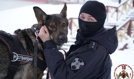 «Меня мама искала там, где лают собаки»: кинолог архангельского ОМОН Росгвардии рассказала о себе и своей профессии