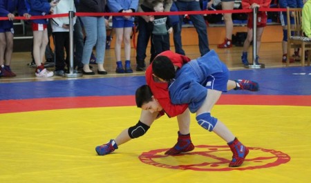 В Северодвинске состоялось первенство Архангельской области по самбо среди юношей и девушек