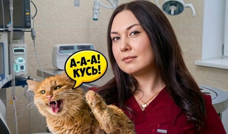 «У собаки во рту „кладбище“»: ветеринарный стоматолог — о самых частых пациентах, безответственных владельцах и цене жизни питомца