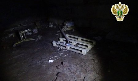 Житель Новодвинска ответил в суде за гибель напарника