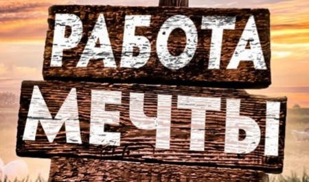 Архангелогородцы рассказали о работе своей мечты