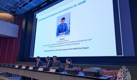 МЧС России представило сообществу ИНСАРАГ в Женеве приоритеты и план работы на 2026 год