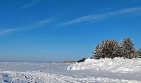 Пройдут только самые умные: сложный тест по географии для жителей Архангельской области 