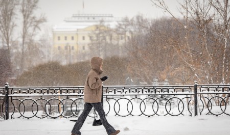 Психолог объяснил, что делать с неадекватами, которые появились с «весенним обострением» в Архангельской области