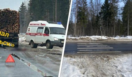Лесовоз сбил человека в Архангельской области: он погиб на месте