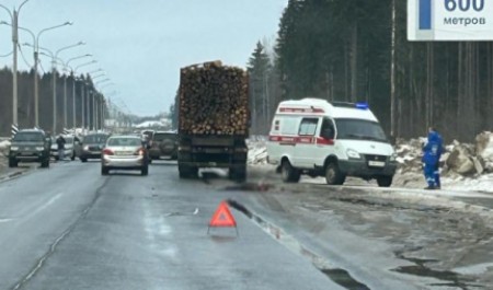 Лесовоз насмерть сбил человека на «зебре» в Архангельской области
