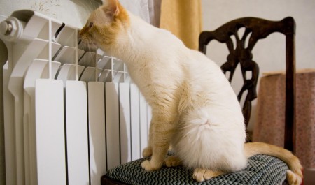 «Кожа сохнет, кот электризуется»: жители Архангельской области спорят о температуре в квартирах