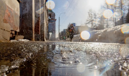 Тепло и почти без осадков: какие выходные ждут жителей Архангельской области