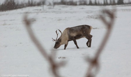 Материал 29.RU отметили на федеральном уровне: какую проблему подняли журналисты
