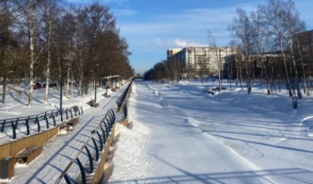 Атлантическое тепло идет в Архангельскую область: синоптики обещают до +10 градусов