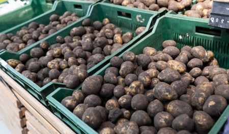 Свой урожай сгноить, чтобы завезти импортный? К чему приводят поставки импортного картофеля