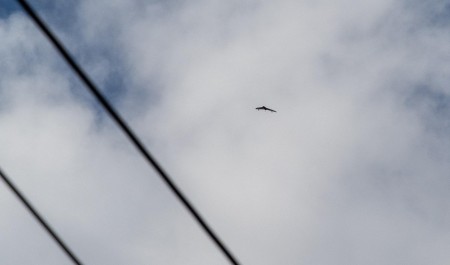 В Архангельской области действует режим беспилотной опасности