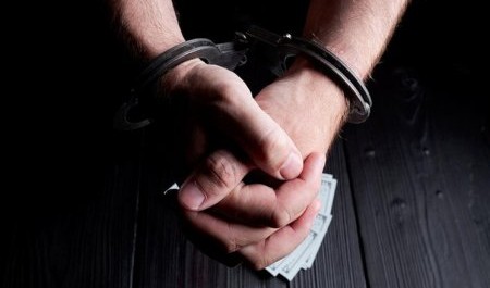 В Архангельске площадка накопления ТБО стала предметом уголовного разбирательства В Архангельске площадка накопления ТБО стала предметом уголовного разбирательства