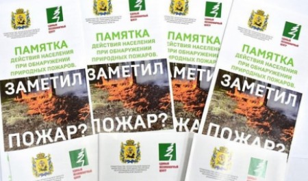 Дан старт противопожарной кампании «Останови огонь!» Дан старт противопожарной кампании «Останови огонь!»